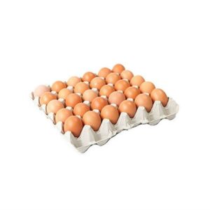 Eggs (Crate-small)