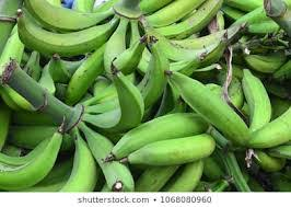 Plantain (Bunch)