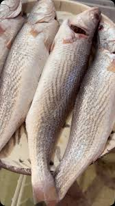 Cassava fish (1kg)