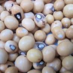 Bambara beans (1 Cup)