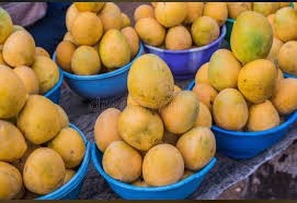 Ripe mangoes