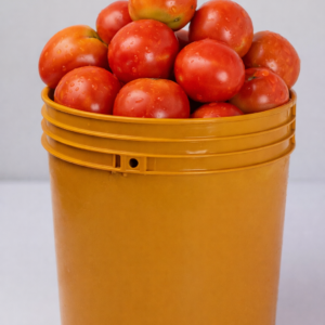 Tomatoes (Bucket)
