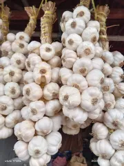 Garlic (Half Kilo)