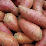 Sweet Potato
