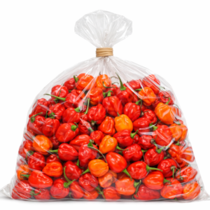 Pepper