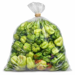 Green Pepper (small)
